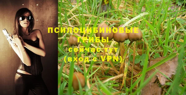 стафф Нижний Тагил